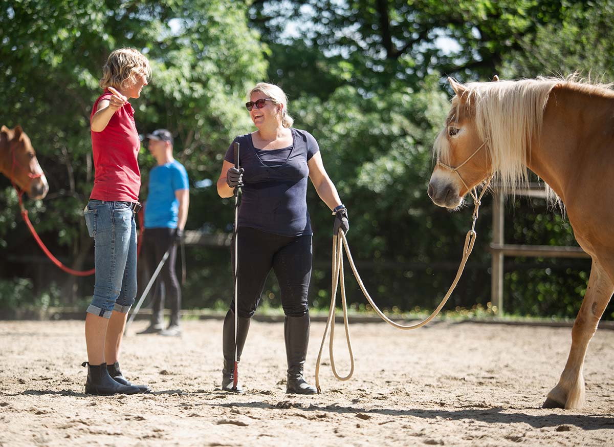 Horsemanship Gruppe